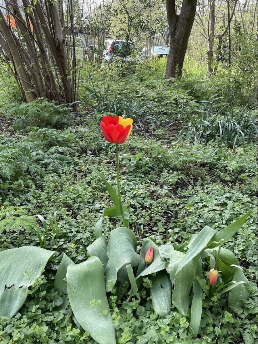 Definitivamente no has visto esto: 30 sorpresas de la Madre Naturaleza