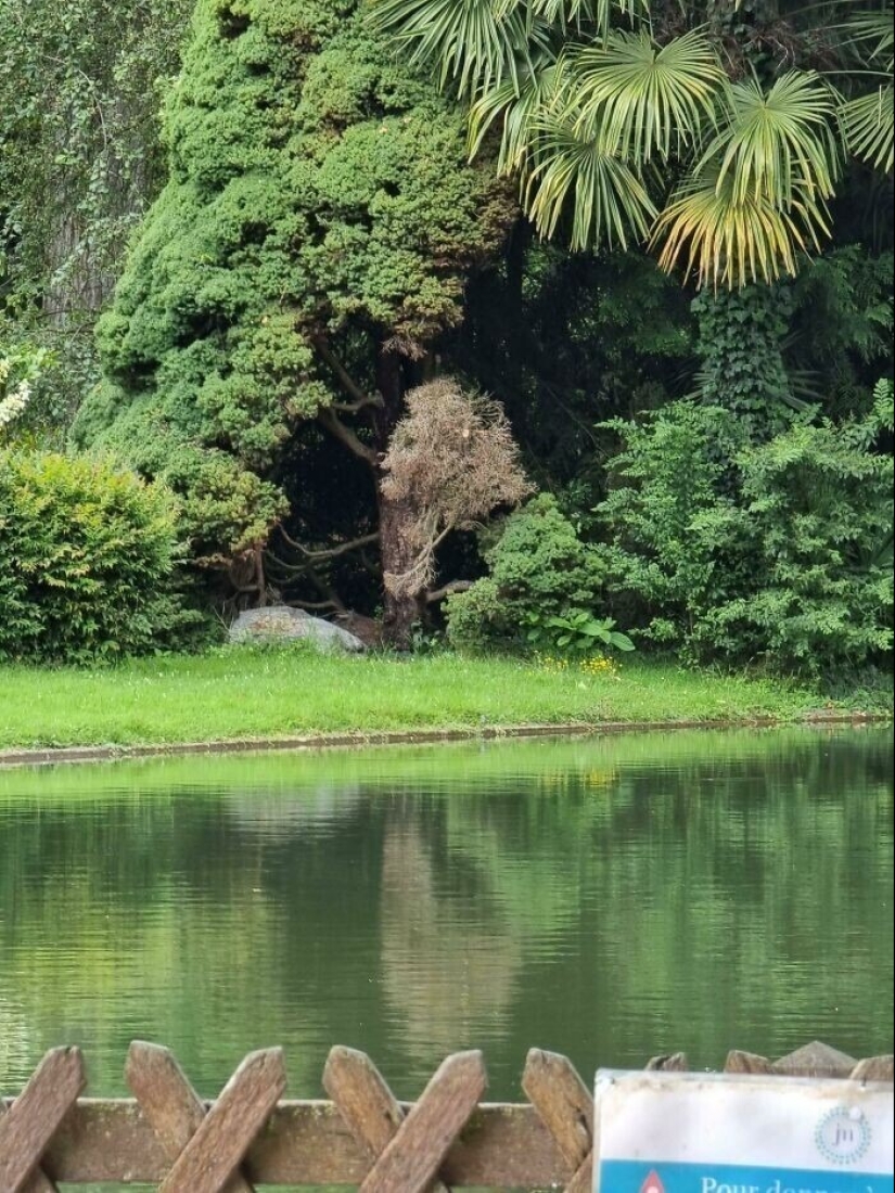 Definitivamente no has visto esto: 30 sorpresas de la Madre Naturaleza