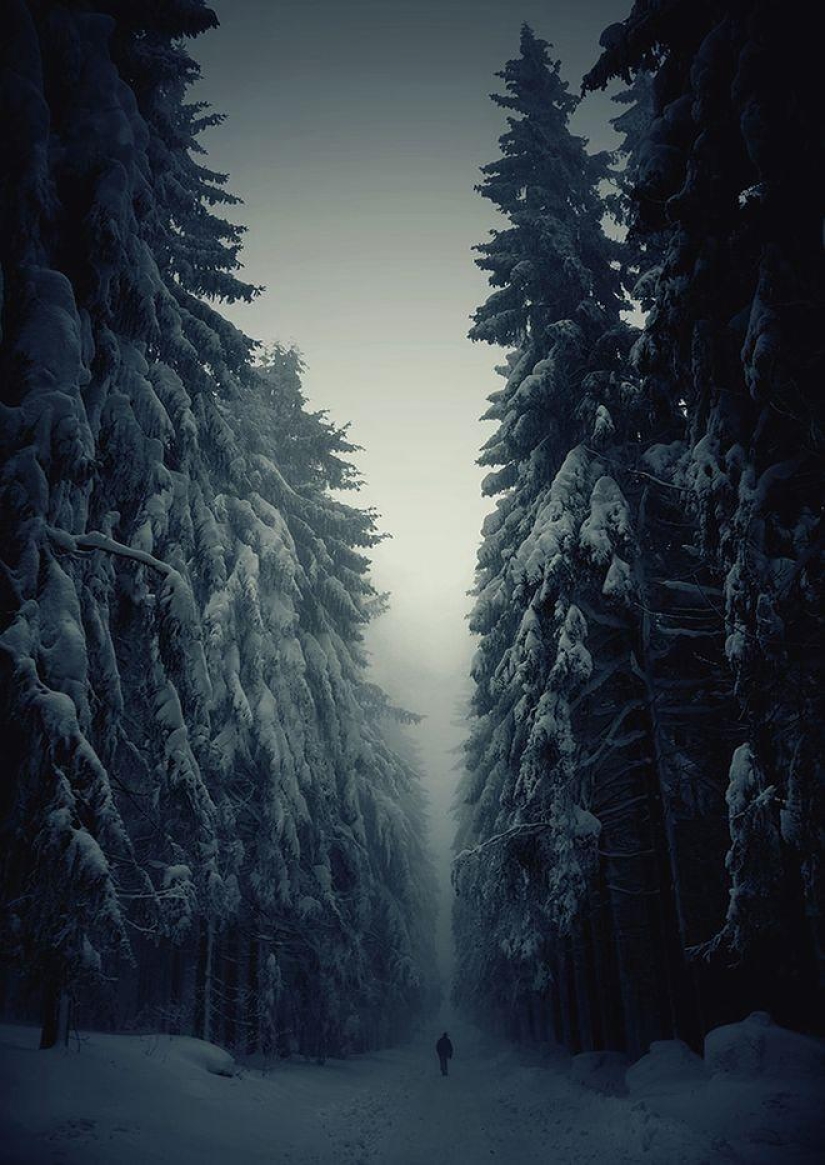 Delightful winter landscapes