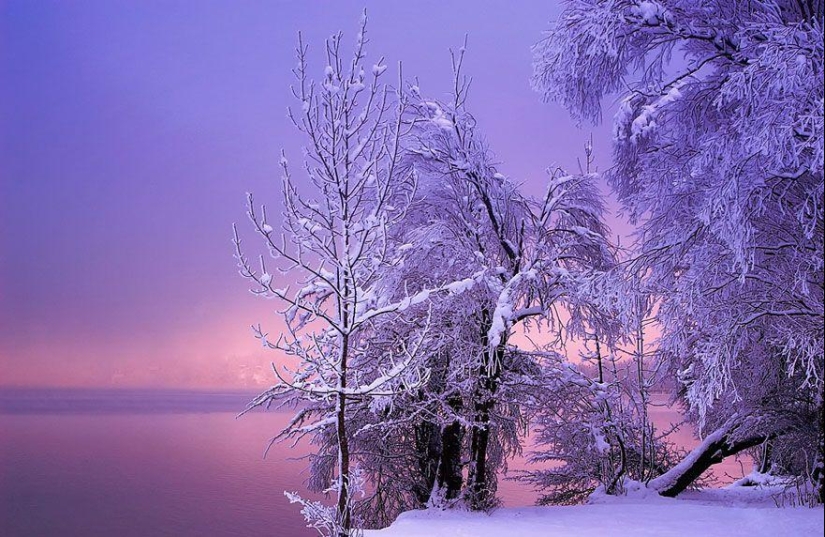 Delightful winter landscapes