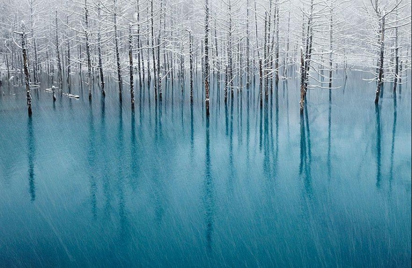 Delightful winter landscapes