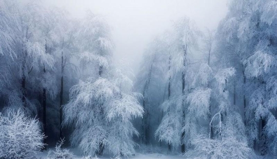 Delightful winter landscapes