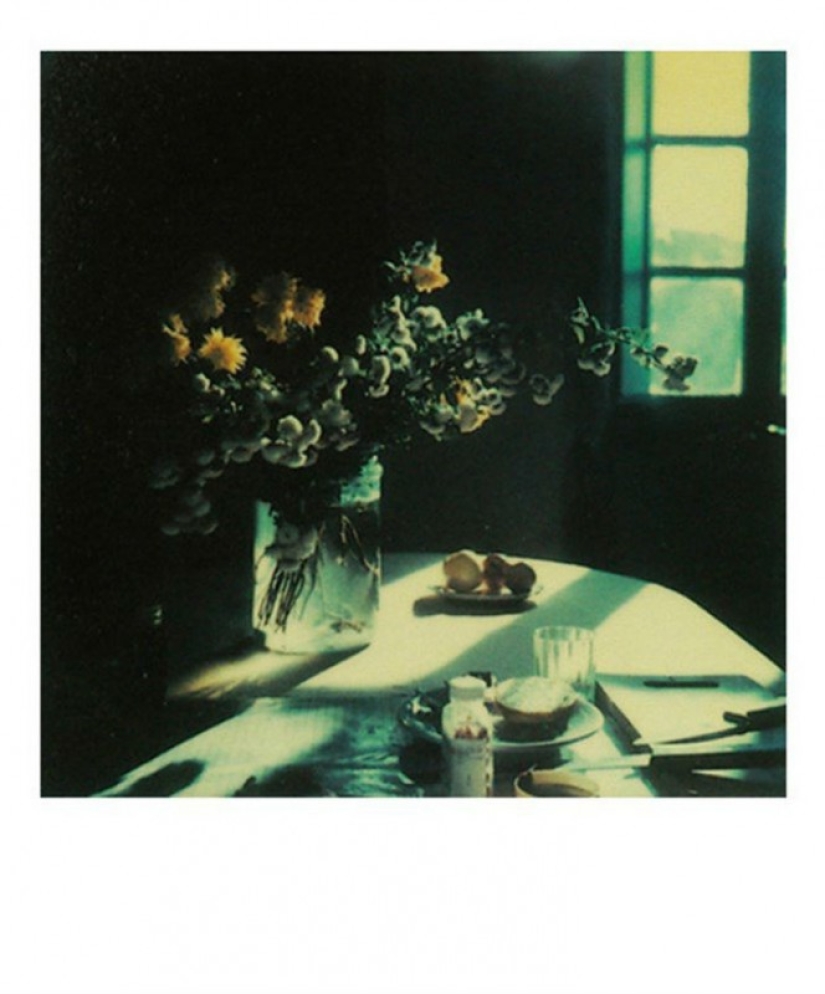 Desconocido Polaroids de Andrei Tarkovsky desde el archivo personal