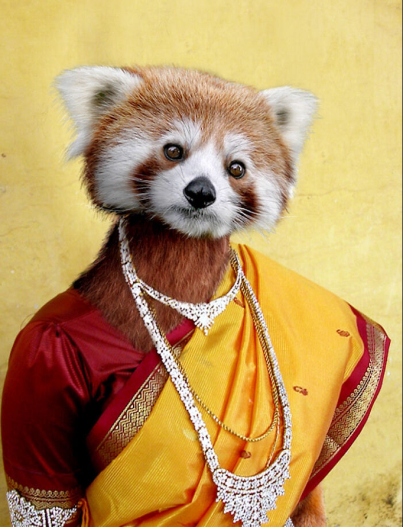 Designers Were Challenged To Dress-Up Animals In Human Clothing, Here Is How It Went