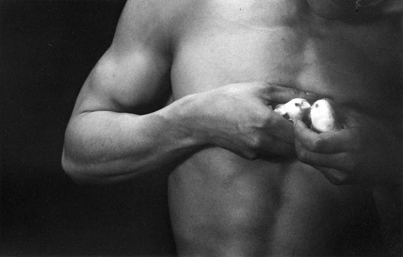 Desnudo surrealista de un fotógrafo japonés