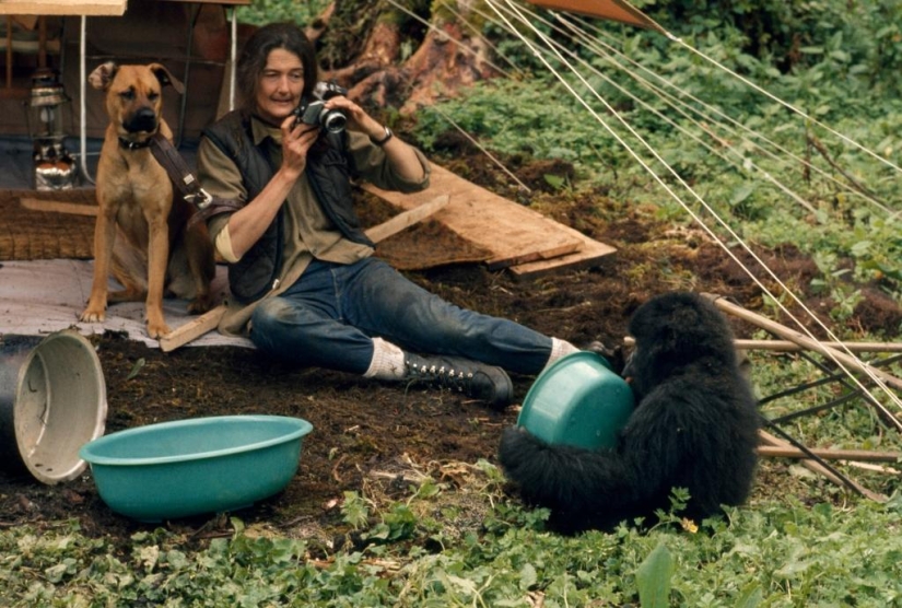 Dian Fossey - la vida y muerte de la valiente &quot;Reina de los Monos&quot;