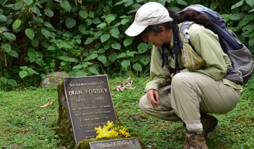 Dian Fossey - the life and death of the brave &quot;Queen of the Monkeys&quot;