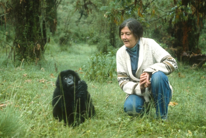 Dian Fossey - the life and death of the brave &quot;Queen of the Monkeys&quot;