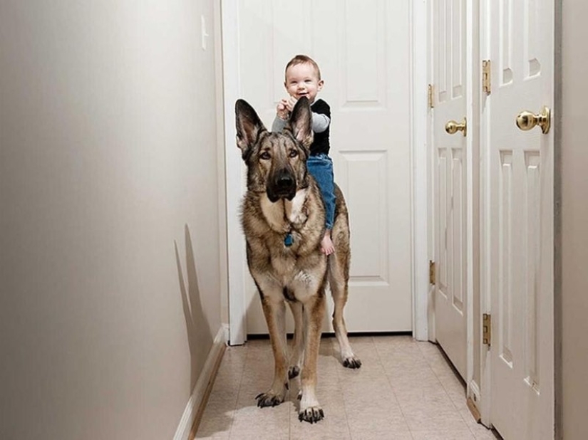 Dios, ayúdame a ser el tipo de persona que mi perro piensa que soy