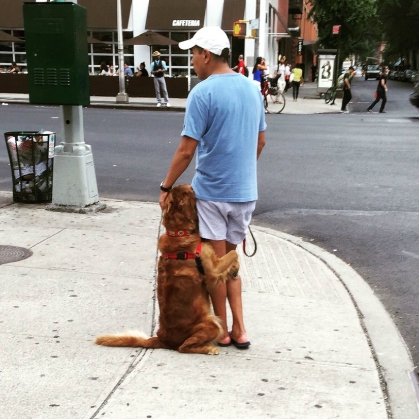 Dios, ayúdame a ser el tipo de persona que mi perro piensa que soy