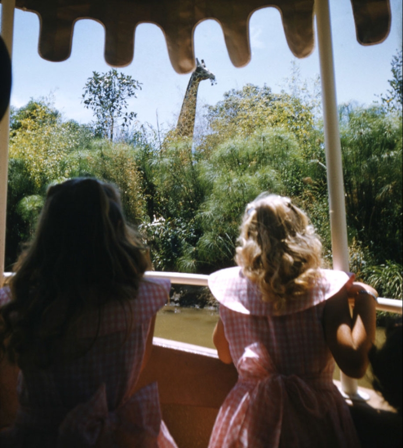 Disneyland on its opening day in 1955