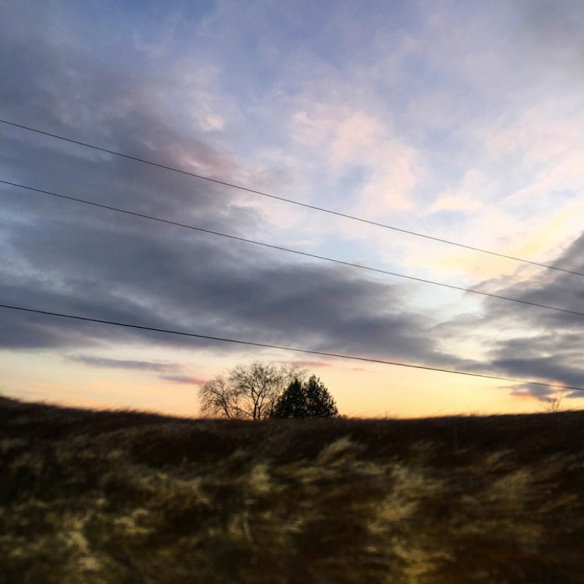 Do you see the horse? And there it is: an American photographer takes pictures of horses so that no one sees them