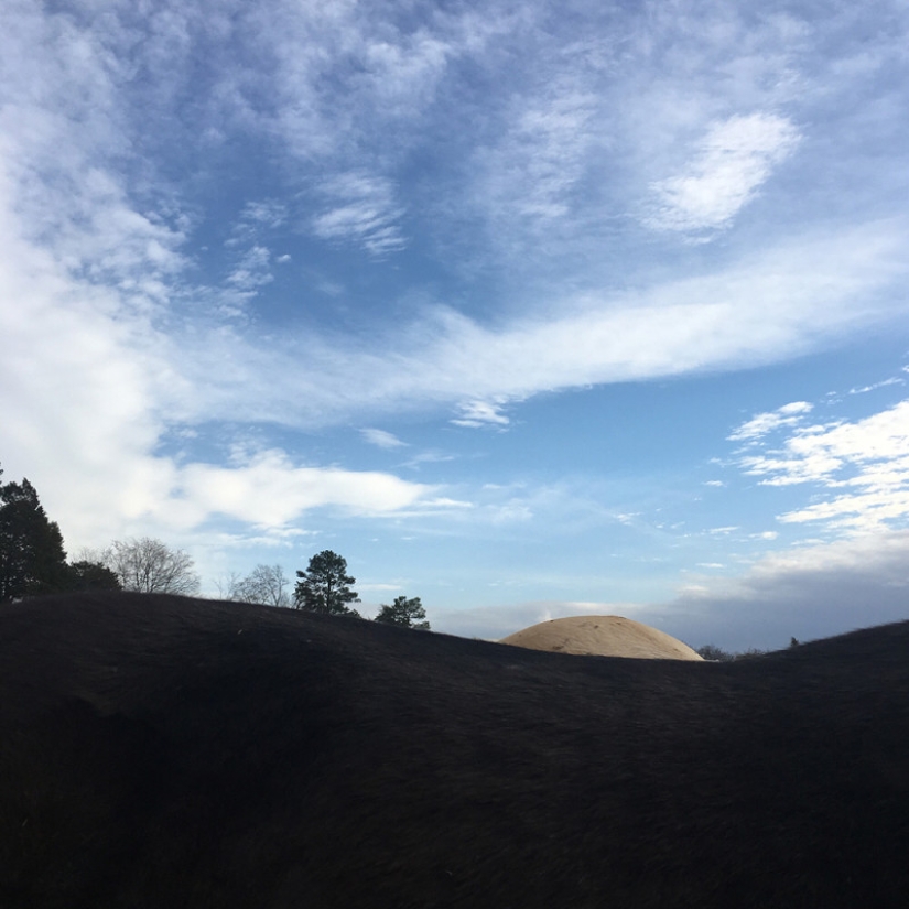 Do you see the horse? And there it is: an American photographer takes pictures of horses so that no one sees them