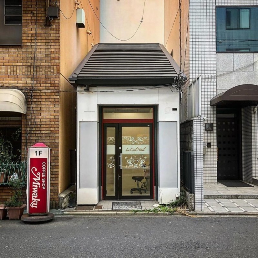 Donde vive el alma de Kioto: joyas arquitectónicas de la capital cultural japonesa