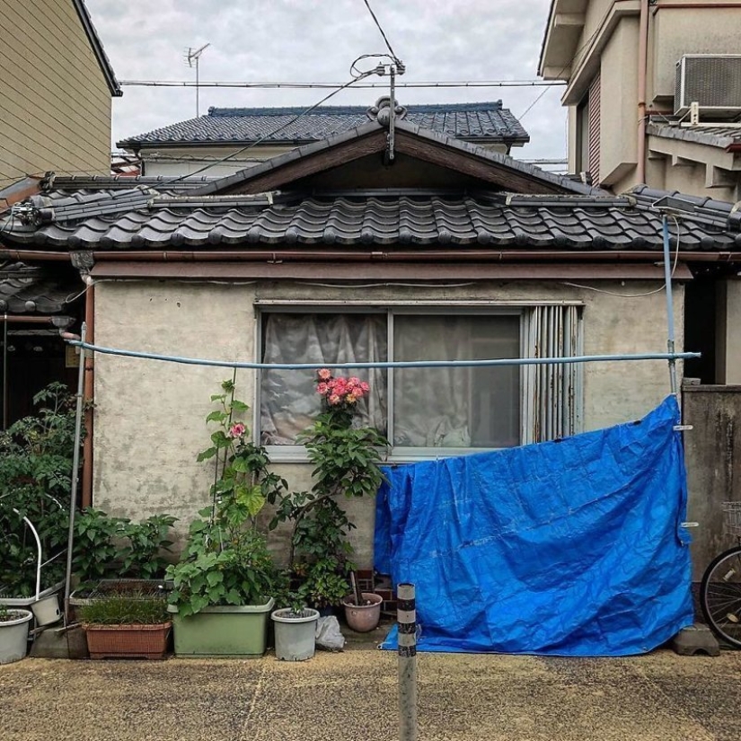 Donde vive el alma de Kioto: joyas arquitectónicas de la capital cultural japonesa