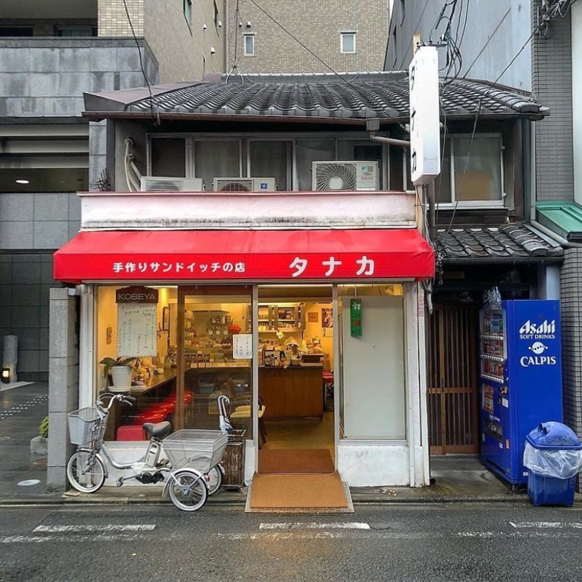 Donde vive el alma de Kioto: joyas arquitectónicas de la capital cultural japonesa