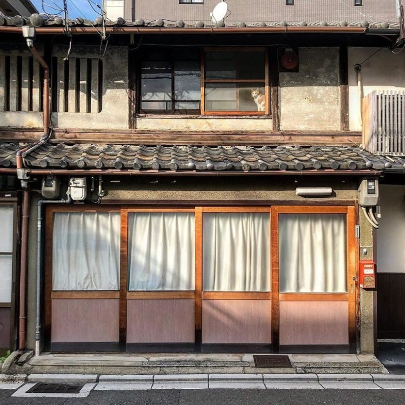 Donde vive el alma de Kioto: joyas arquitectónicas de la capital cultural japonesa