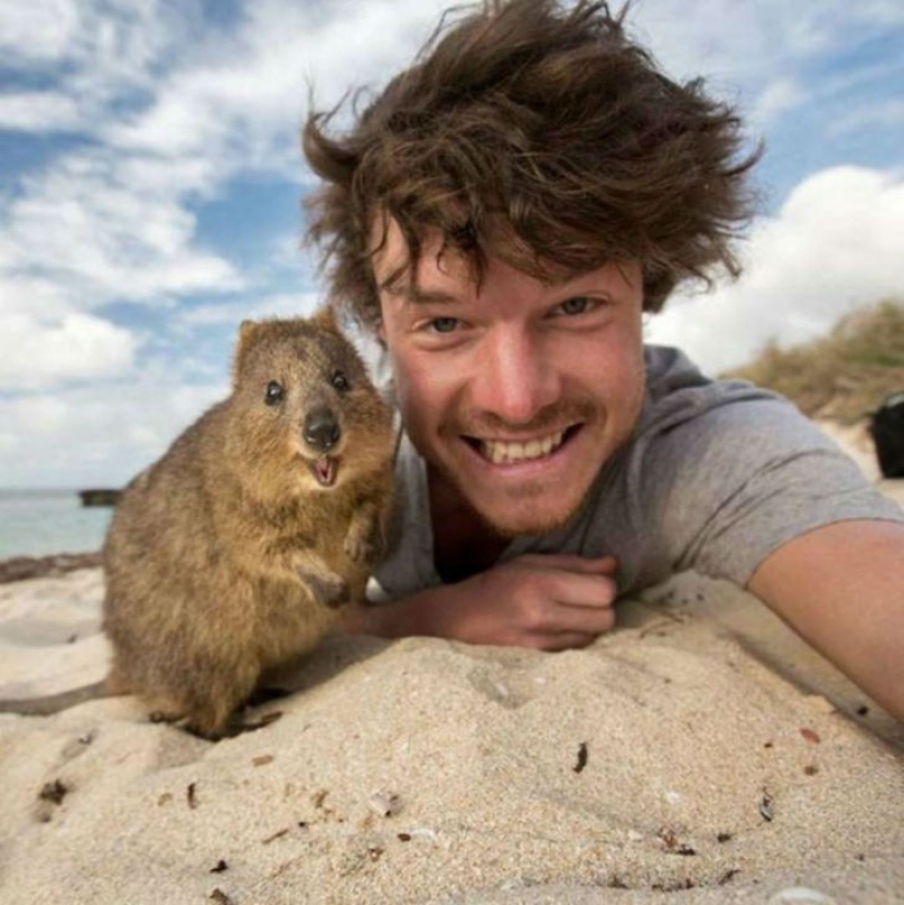 "Dr. Dolittle" dijo cómo tomar una selfie con animales