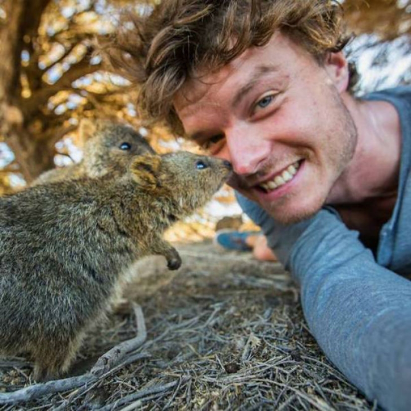 "Dr. Dolittle" dijo cómo tomar una selfie con animales