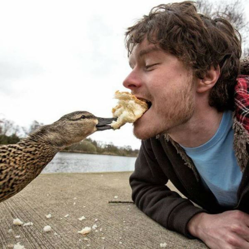 "Dr. Dolittle" dijo cómo tomar una selfie con animales