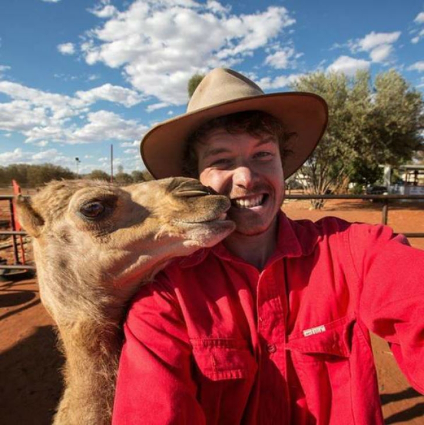 "Dr. Dolittle" dijo cómo tomar una selfie con animales