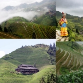 Dragon Ridge Rice Terraces»