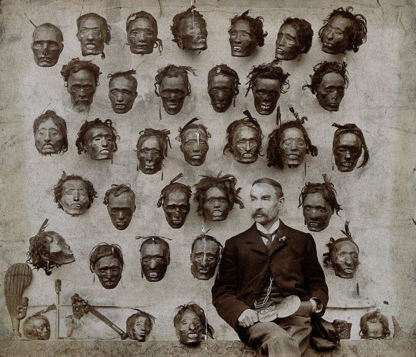 Dried mokomokai heads - eerie relics of the Maori people
