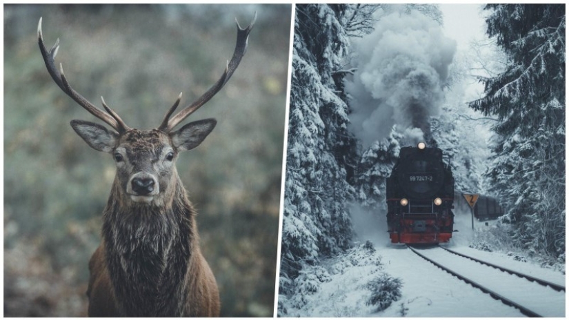 Each photo is like a painting: the Belgian creates expressive landscapes of Northern Europe