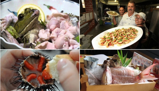 Eat the living: 10 of the most sadistic dishes in the world