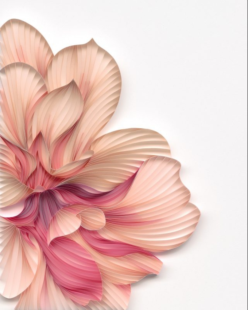 El arte de la aplicación: impresionantes flores de papel Dúo creativo JUDiTH + ROLFE