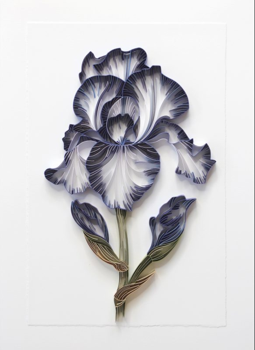 El arte de la aplicación: impresionantes flores de papel Dúo creativo JUDiTH + ROLFE