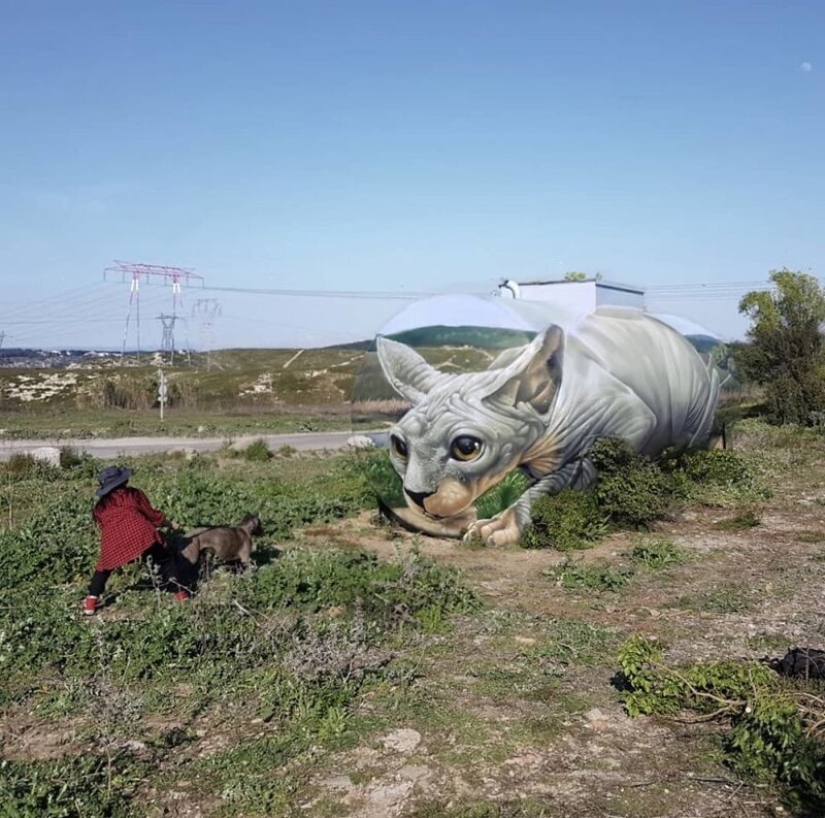 El artista callejero Tom Bragado Blanco y sus impresionantes ilusiones urbanas