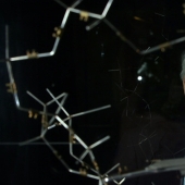 "El blanco es más inteligente que el negro": lo que el descubridor del ADN James Watson despojado de todos los premios