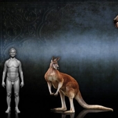 El canguro de pezuña procoptodon es un gigante extinto de Australia