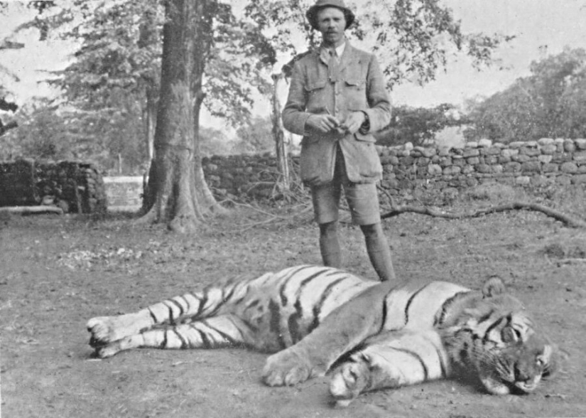 El demonio de Champavata: la historia del tigre devorador de hombres más sanguinario de la historia
