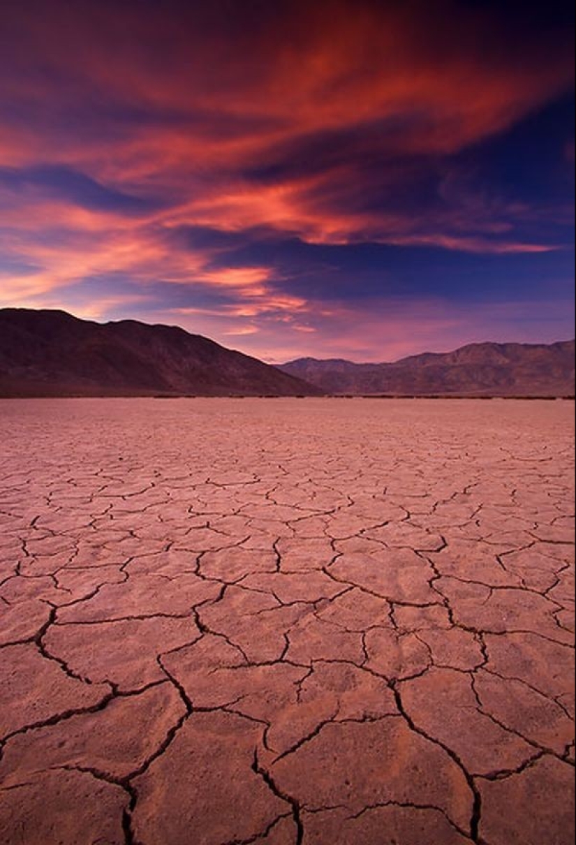 El desierto floreciente de Anza-Borrego