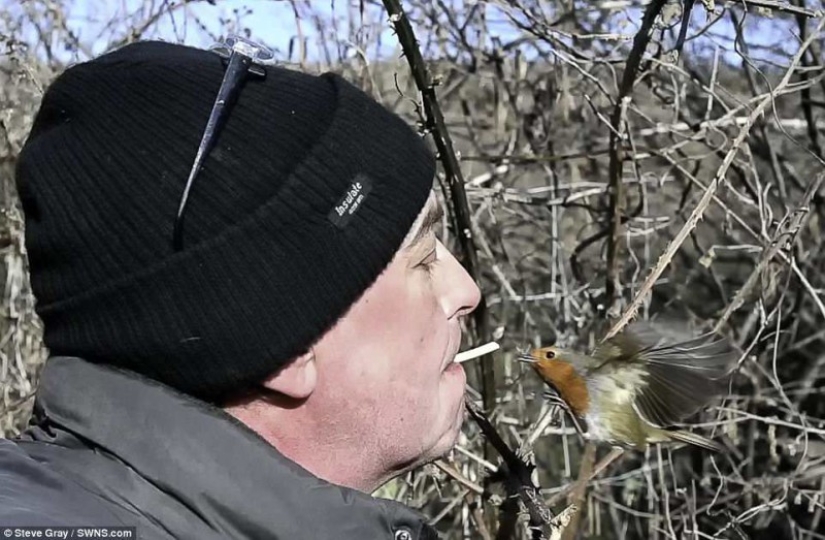 El Dr. Doolittle: cómo el Británico se convirtió en el maestro de las aves silvestres