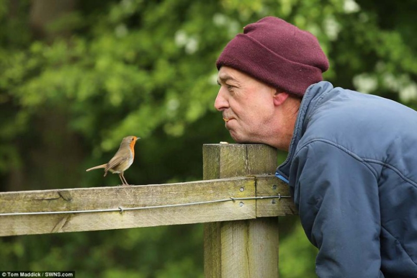 El Dr. Doolittle: cómo el Británico se convirtió en el maestro de las aves silvestres