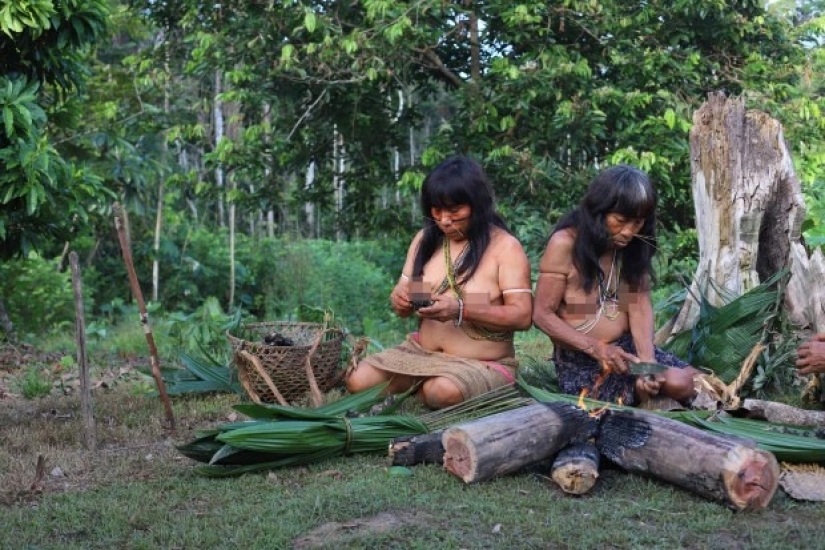 El Espíritu de la Amazonía: la vida de la antigua tribu Matses - "pueblo jaguar"