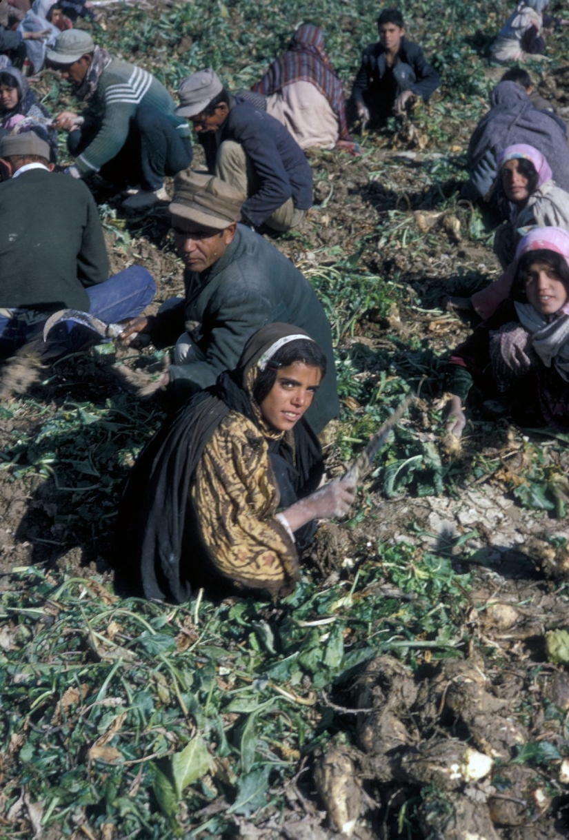 El Este sutil y el Oeste de moda: recorrido fotográfico de un estadounidense por Irán en 1967