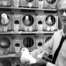 El experimento de Skinner: ¿qué tienen en común las personas supersticiosas y las palomas?