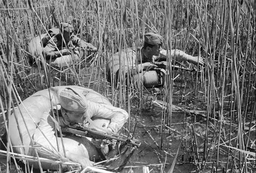 El fenómeno de la federación de rusia de la mano-a-mano de combate, o 70 victorias en la línea de frente scout Konyaeva