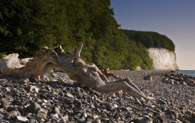 El fotógrafo esconde modelos desnudos en sus obras de paisaje. Podemos encontrarlos?