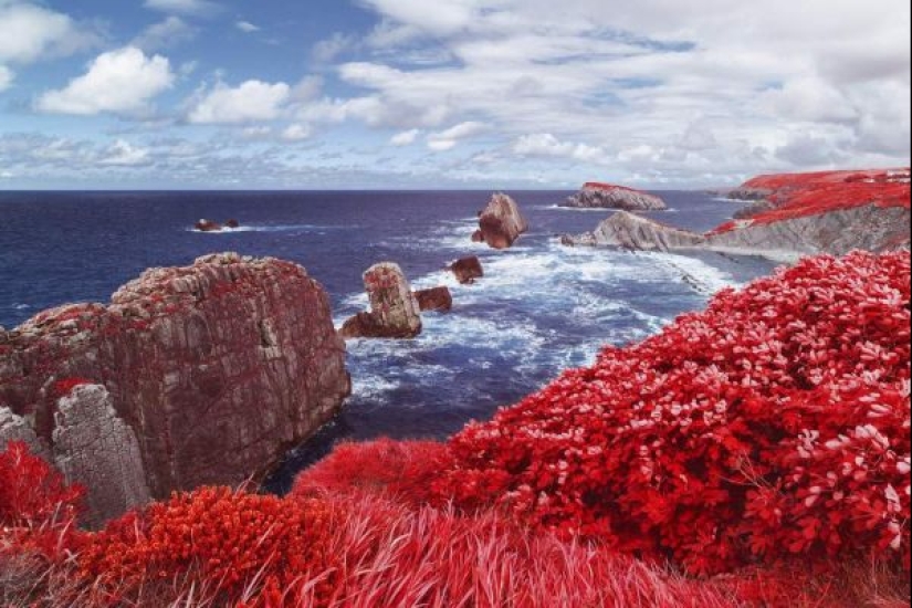 El fotógrafo mostró cuánto cambia la piel el sol. ¡Después de eso, dejarás de amar el bronceado!