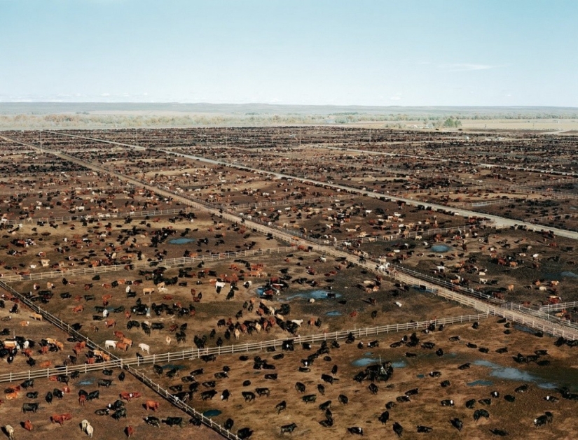 El fotógrafo más caro del mundo.