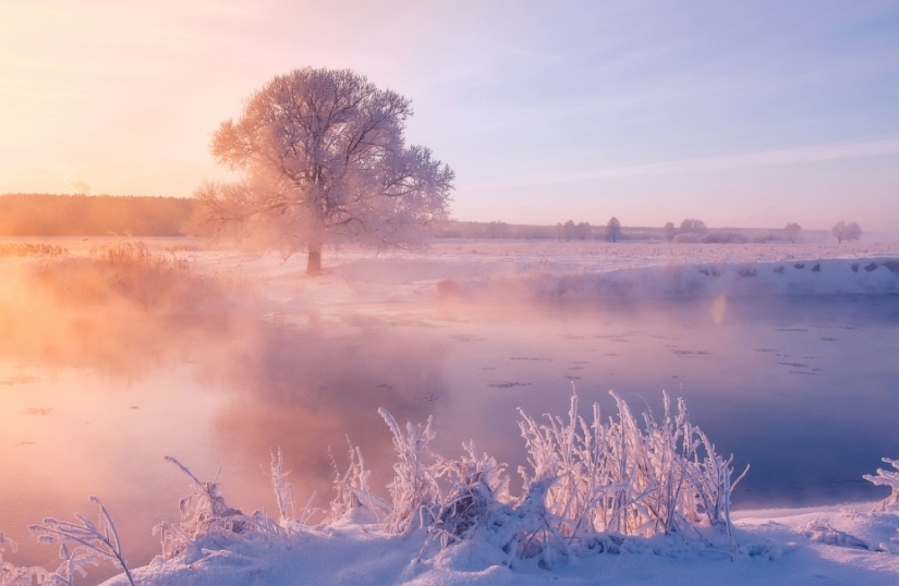El fotógrafo se levanta temprano por la mañana todos los días para capturar la belleza del invierno