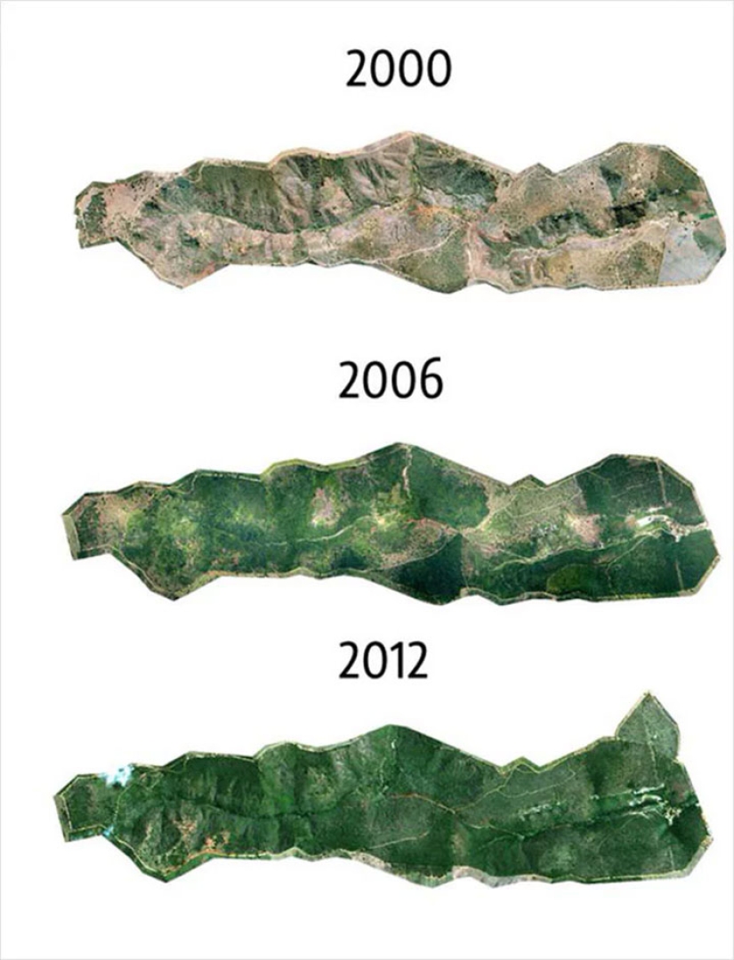 El fotógrafo y su esposa durante 20 años ha plantado 2 millones de árboles y se regenera el bosque destruido