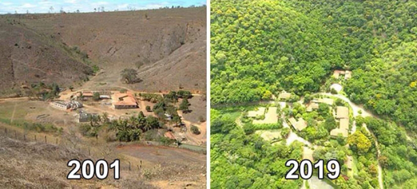 El fotógrafo y su esposa durante 20 años ha plantado 2 millones de árboles y se regenera el bosque destruido