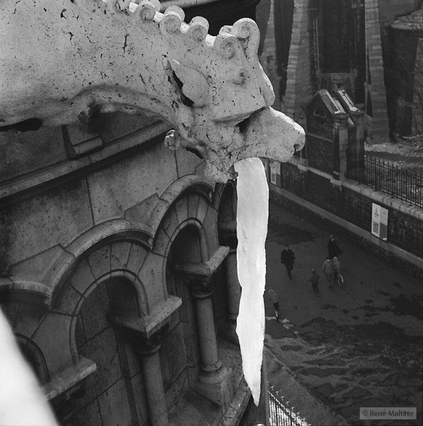 El genio de la fotografía René Maltet