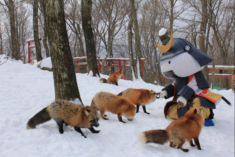 El lugar más mimético de la tierra es el pueblo japonés de zorros